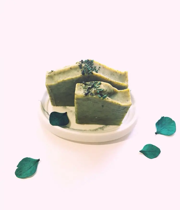 Savon traditionnel Algues du Mont - Orianis
