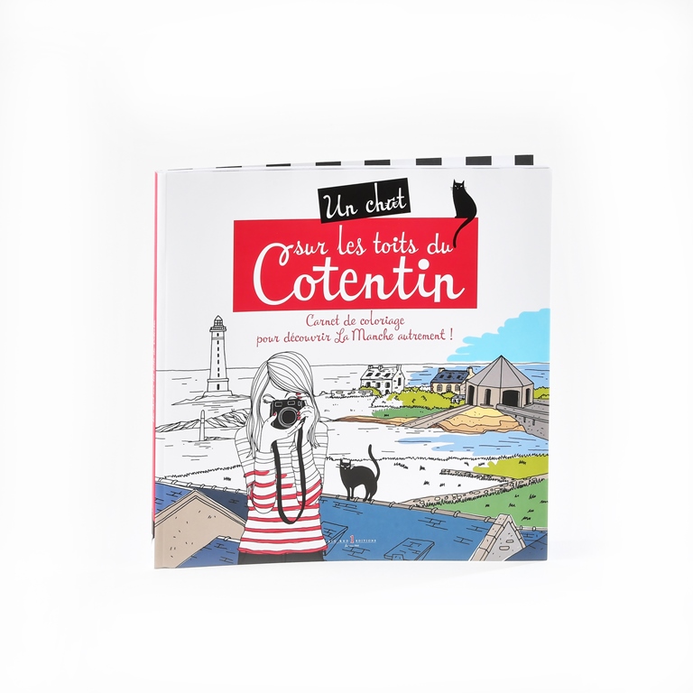 Un chat sur les toits du Cotentin