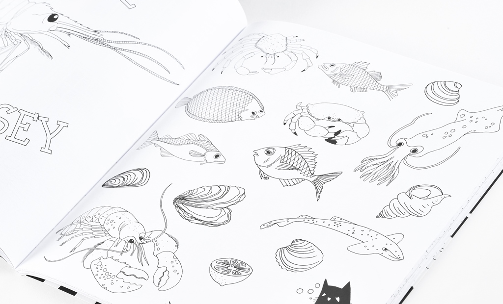 Un chat sur les toits du Cotentin – Image 3