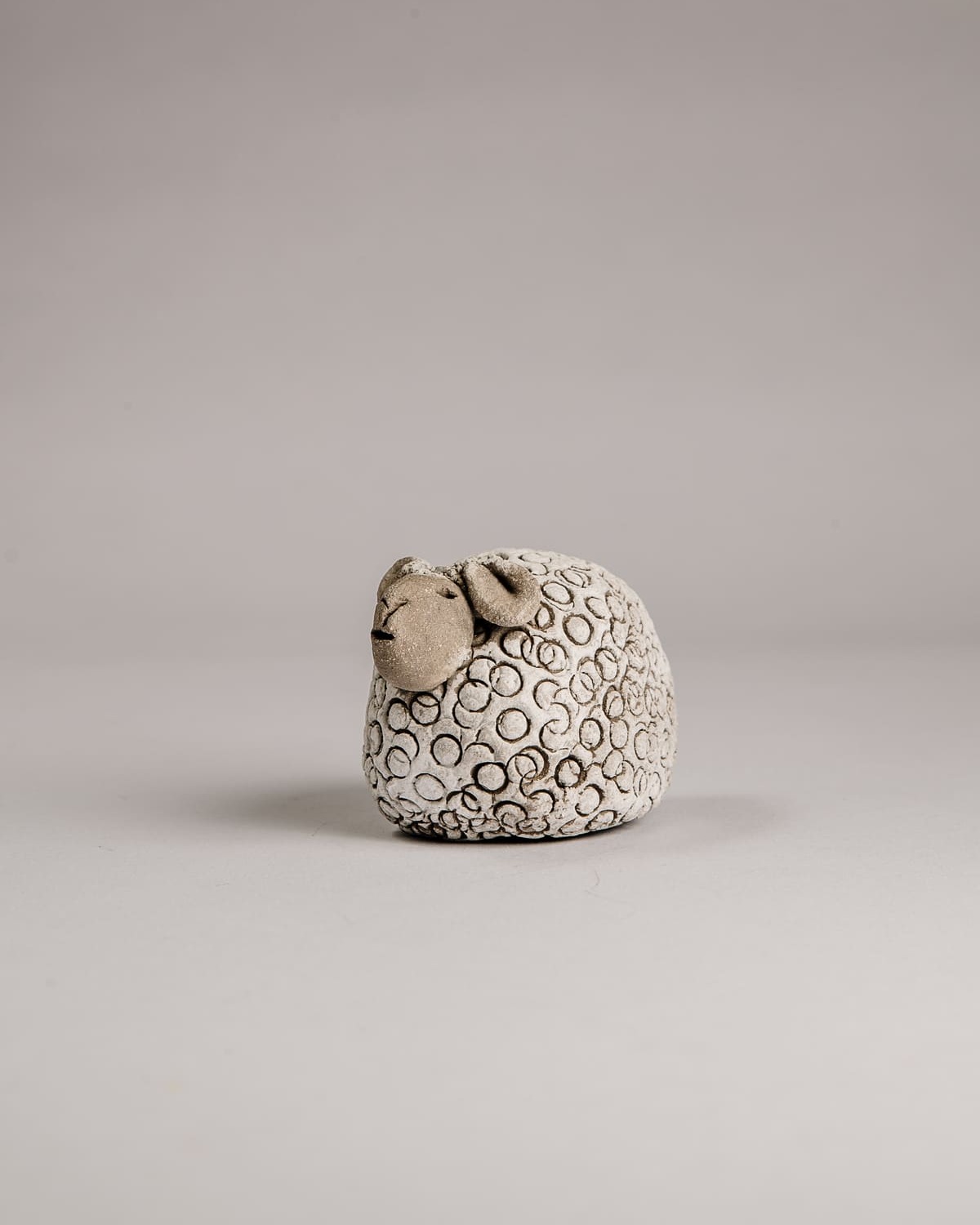 Mouton manchois – Image 2